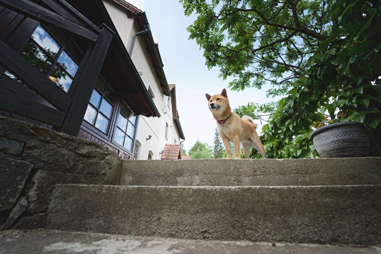 Penzion Onyx Český Krumlov Exteriör bild
